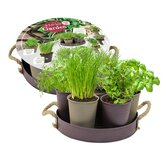 Baltus Herb Garden - 7 (Taupe)