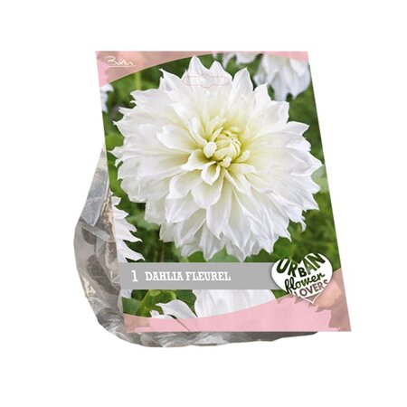 Baltus Urban Flowers - Fleurel per 1