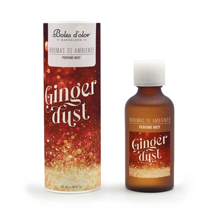 Brumas de ambiente 50 ml geurolie - Ginger Dust