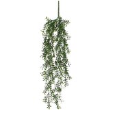 Buxus hangend groen - l74cm
