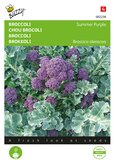 Buzzy® Broccoli Summer Purple - afbeelding 1