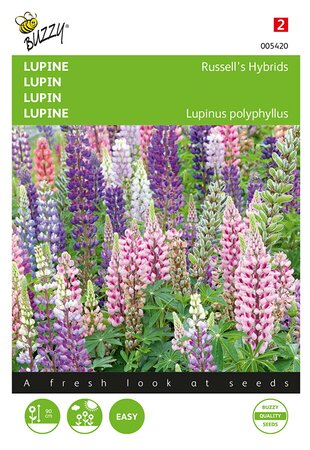 Buzzy® Lupinus, Lupine Russell’s Hybrids gemengd - afbeelding 1