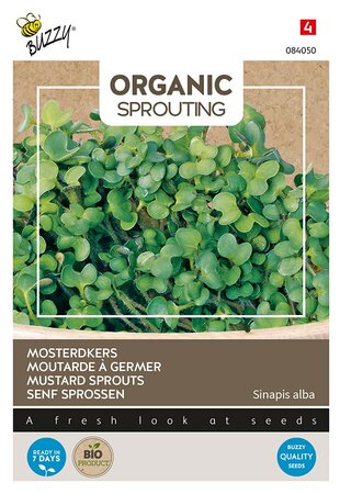 Buzzy® Organic Sprouting Mosterdkers  (BIO) - afbeelding 1