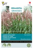 Buzzy® Ornamental Grasses Chinees prachtriet 'New Hybrids' - afbeelding 1
