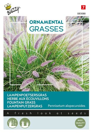 Buzzy® Ornamental Grasses, Lampenpoetsersgras - afbeelding 1