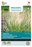 Buzzy® Ornamental Grasses, Vedergras Pony tails - afbeelding 1