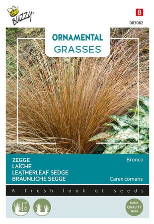 Buzzy® Ornamental Grasses, Zegge 'Bronco' - afbeelding 1