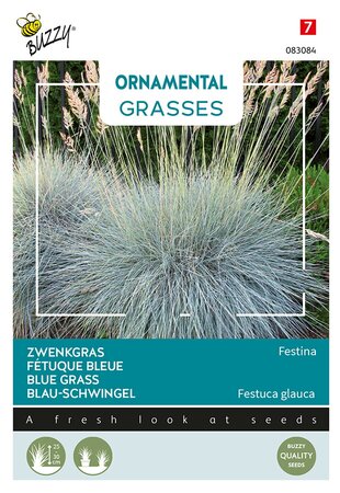 Buzzy® Ornamental Grasses, Zwenkgras 'Festina' - afbeelding 1
