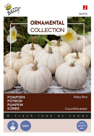 Buzzy® Ornamental, Pompoen Baby Boo - afbeelding 1