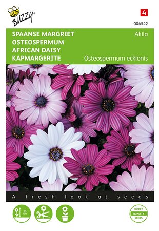 Buzzy® Osteospermum, Spaanse Margriet Akila mix - afbeelding 1