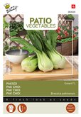 Buzzy® Patio Veggies, Pak Choi Green F1 - afbeelding 1