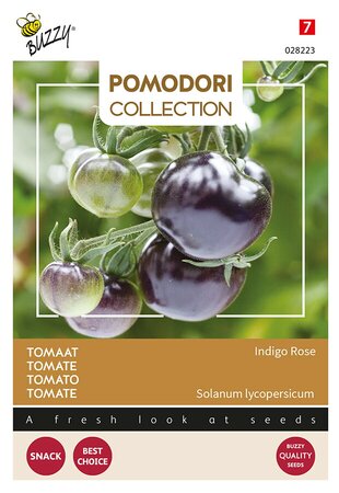 Buzzy® Pomodori, Tomaat Indigo rose (zwart) - afbeelding 1