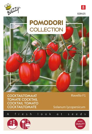 Buzzy® Pomodori, Tomaat Ravello F1 - afbeelding 1