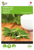 Buzzy® Stevia, Suikerplantje of Honingkruid - afbeelding 1