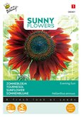 Buzzy® Sunny Flowers, Zonnebloem Avondzon - afbeelding 1