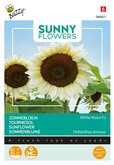 Buzzy® Sunny Flowers, Zonnebloem White Moon F1 - afbeelding 1