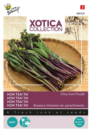 Buzzy® Xotica Hon Tsai Tai Choy Sum Purple - afbeelding 1