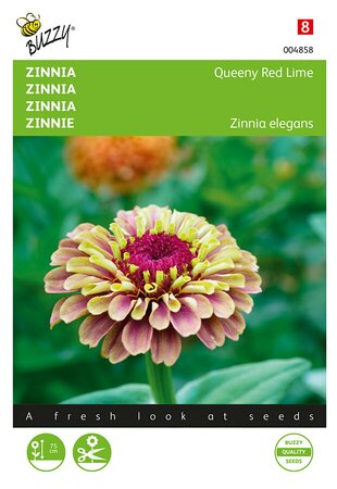 Buzzy® Zinnia Queeny Red Lime - afbeelding 1