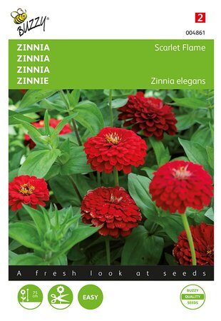 Buzzy® Zinnia Scarlet Flame - afbeelding 1
