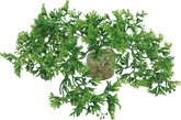 Sydeco kunststofplant Tropical Moss 7 cm (349637)