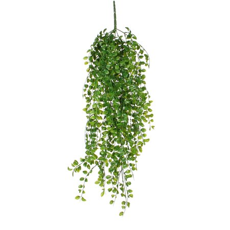 Ficus hangend groen - l81cm