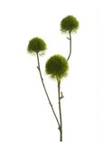 Kunstbloem Dianthus spray x3 groen 58cm