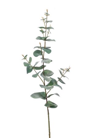 Kunstbloem Eucalyptus spray 68cm groen/grijs