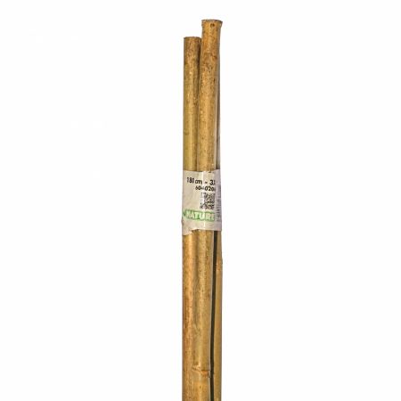 Nature Bamboestokken (3 st.) - H180cm - afbeelding 6