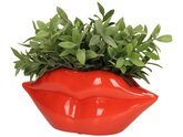 Planter Lips Polyresin Red 28x10x12.5cm - afbeelding 3