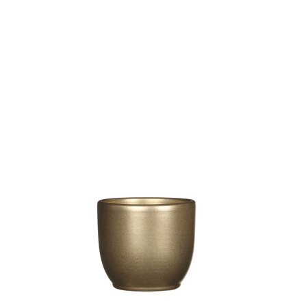 Tusca pot rond goud - h6,5xd7,5cm