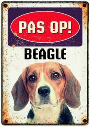 Waakbord Beagle